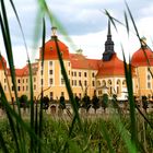 Schloss Moritzburg