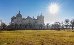 Schloss Moritzburg (12)