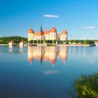 Schloss Moritzburg