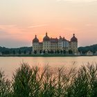 Schloss Moritzburg