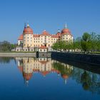 Schloss Moritzburg