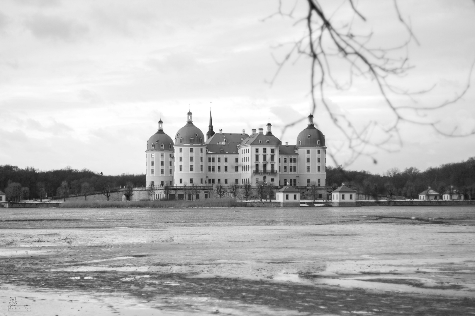 Schloss Moritzburg