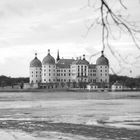 Schloss Moritzburg