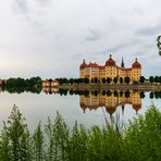 Schloss Moritzburg 