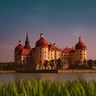 Schloss Moritzburg