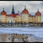 Schloss Moritzburg 2