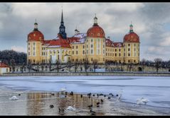 Schloss Moritzburg 2