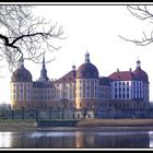 "Schloß Moritzburg 2"