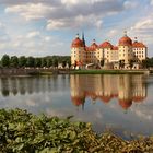 Schloss Moritzburg