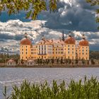 Schloss Moritzburg