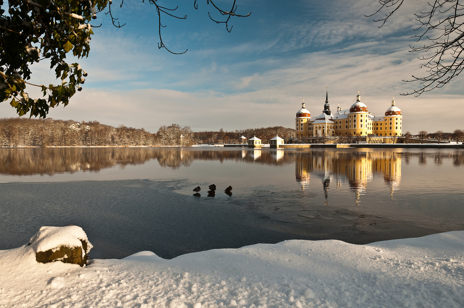 Schloss Moritzburg