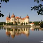 Schloss Moritzburg