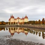 Schloss Moritzburg 