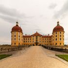 Schloss Moritzburg (3)