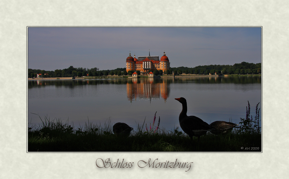 Schloss Moritzburg 3
