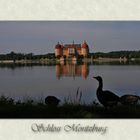 Schloss Moritzburg 3