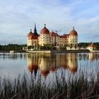 Schloss Moritzburg