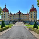 Schloss Moritzburg