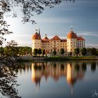 Schloss Moritzburg