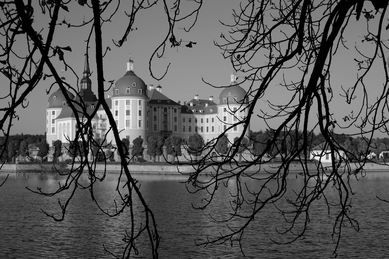 Schloss Moritzburg