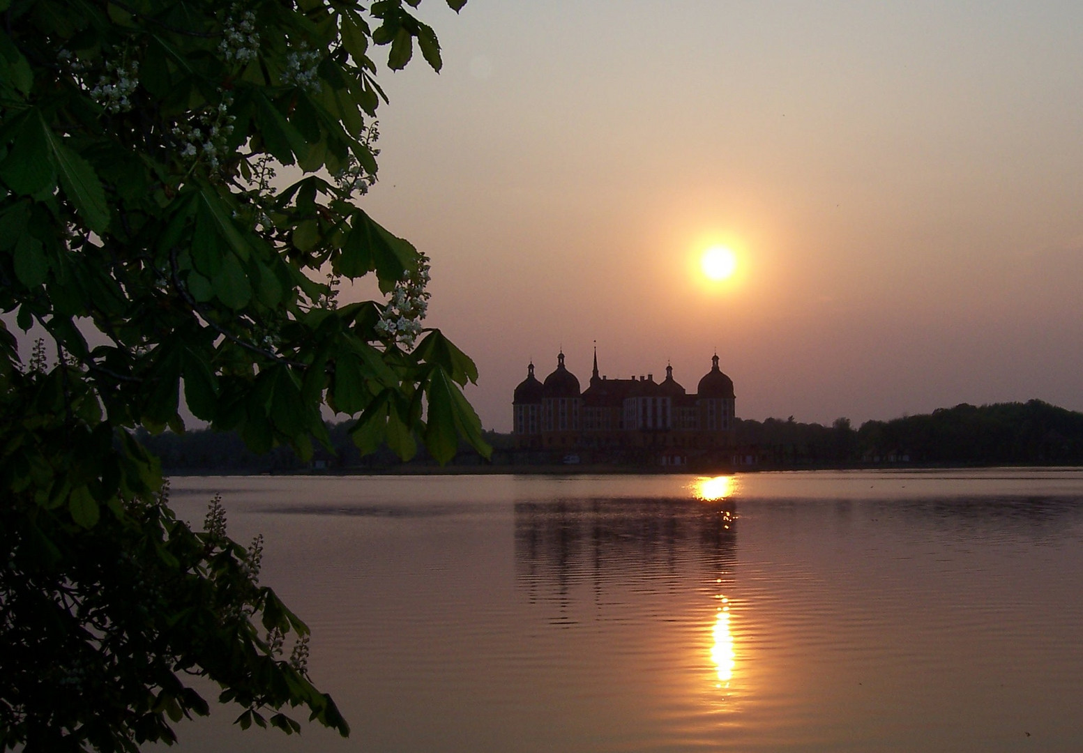 Schloss Moritzburg