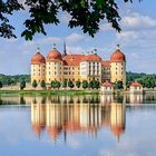 Schloss Moritzburg