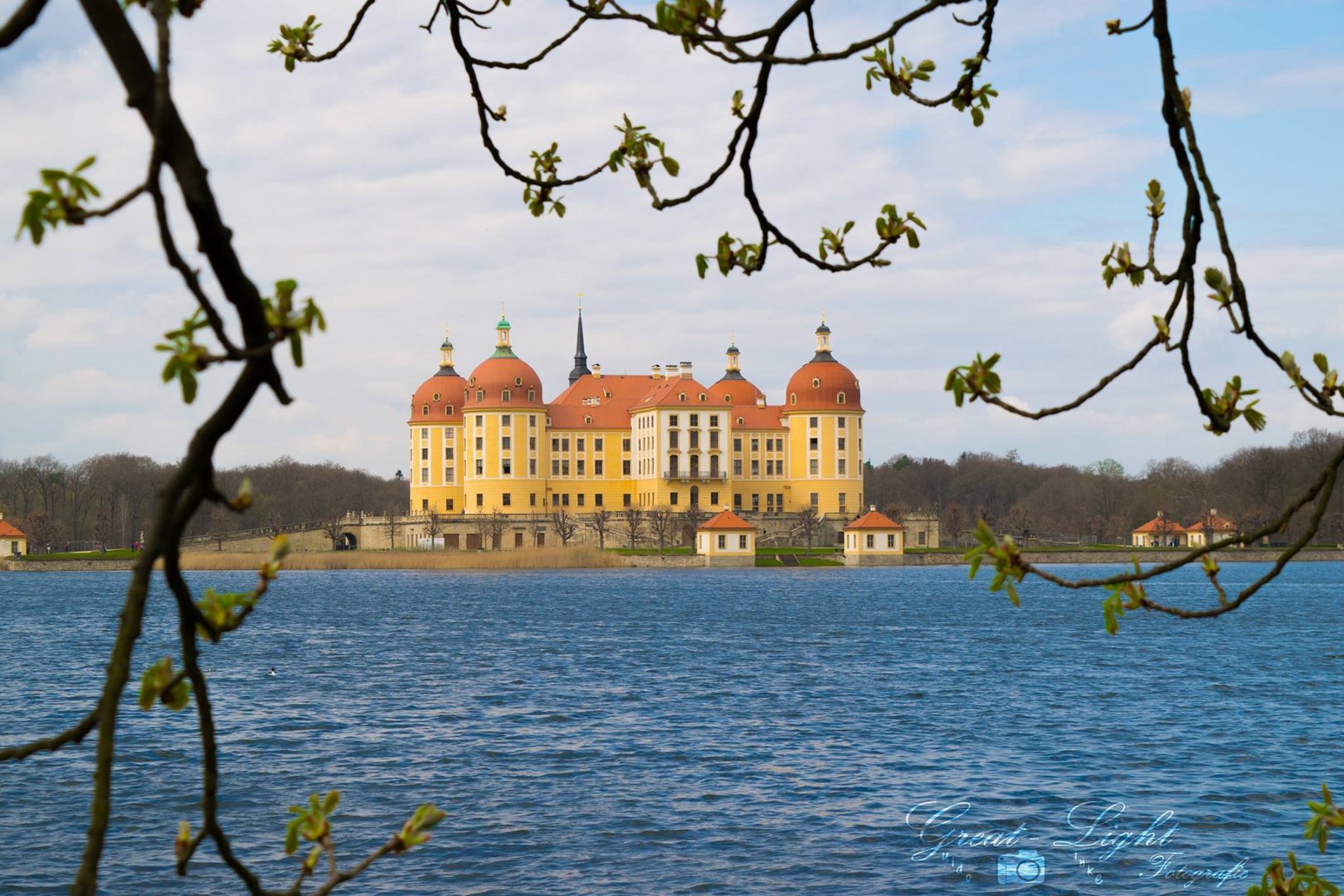 Schloss Moritzburg