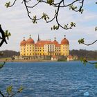 Schloss Moritzburg