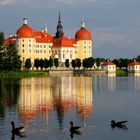 Schloss Moritzburg