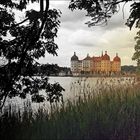 Schloss Moritzburg