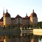 Schloss Moritzburg