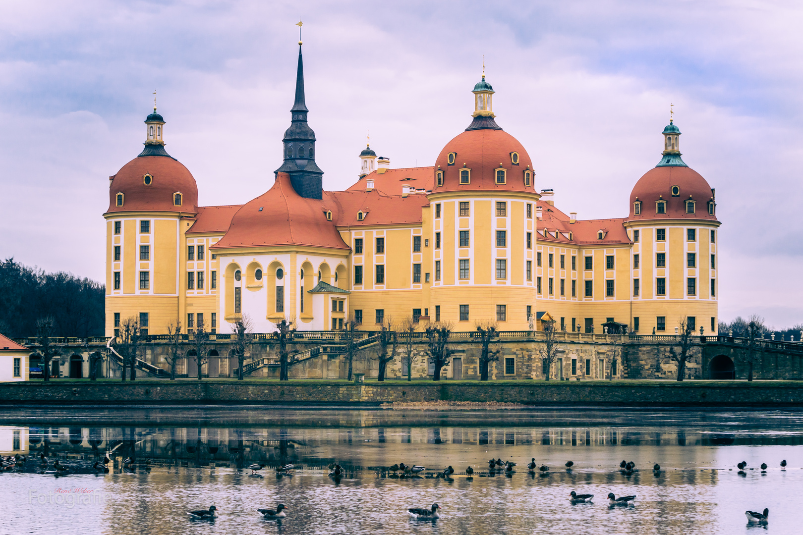 Schloss Moritzburg