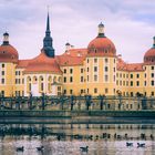 Schloss Moritzburg