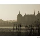 Schloss Moritzburg