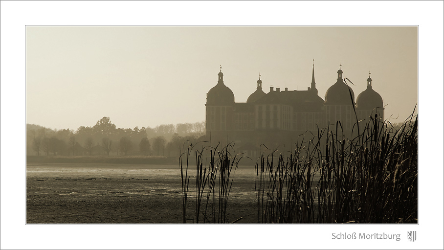 Schloss Moritzburg