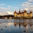 Schloss Moritzburg