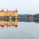 Schloss Moritzburg