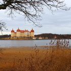 Schloß Moritzburg