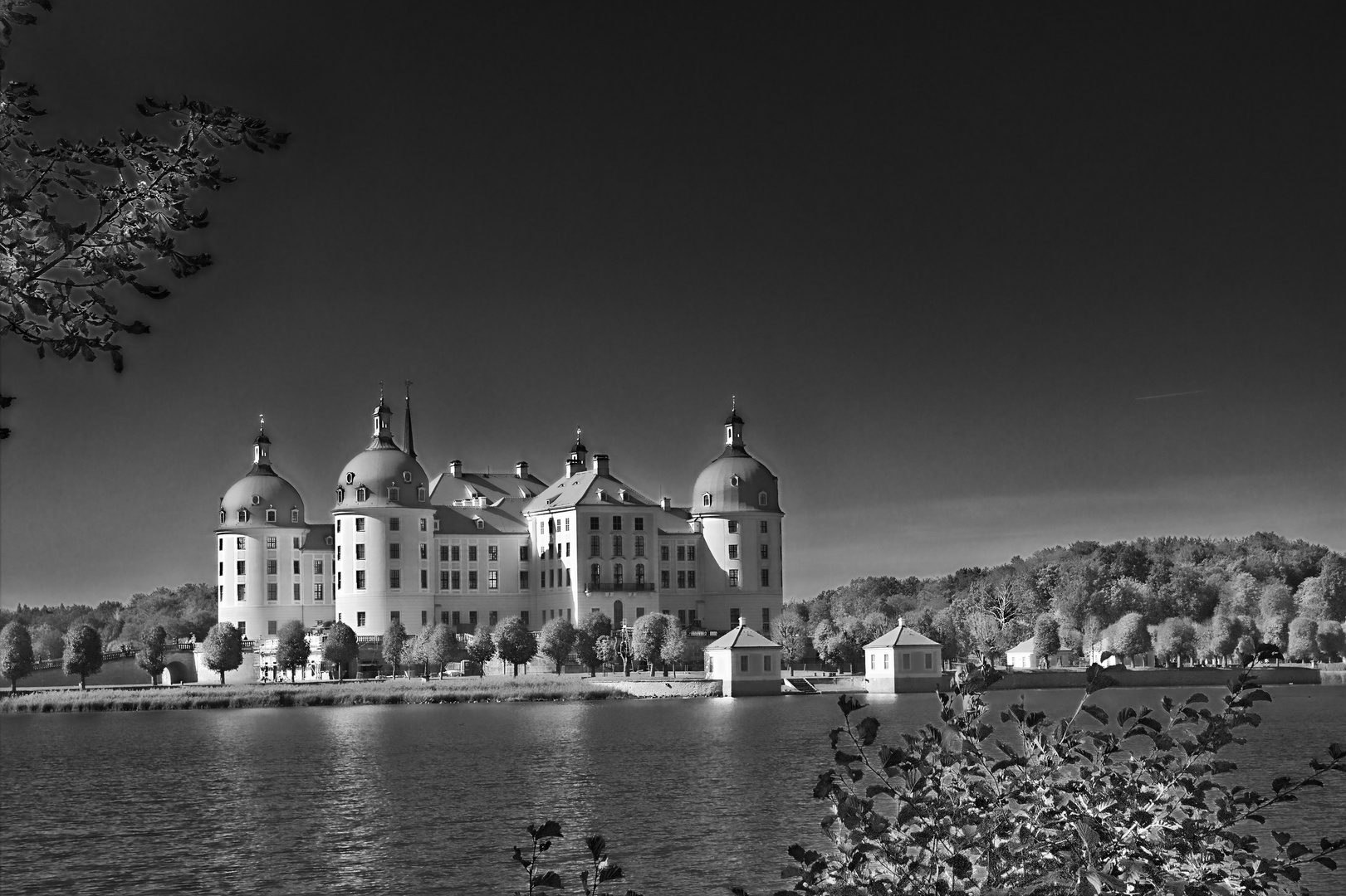 Schloss Moritzburg