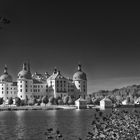 Schloss Moritzburg