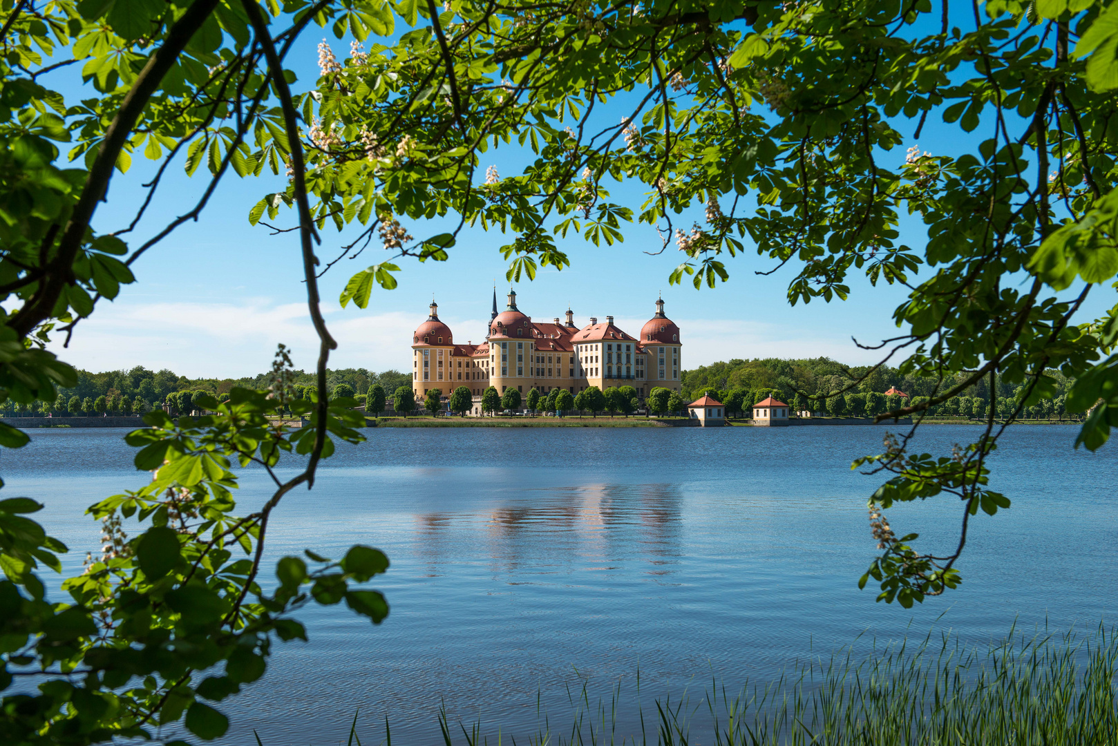 Schloss Moritzburg