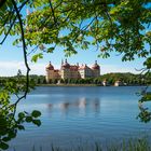 Schloss Moritzburg