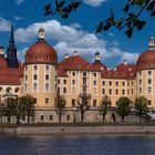 Schloss Moritzburg