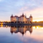 Schloss Moritzburg