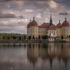  Schloss Moritzburg