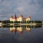 Schloss Moritzburg