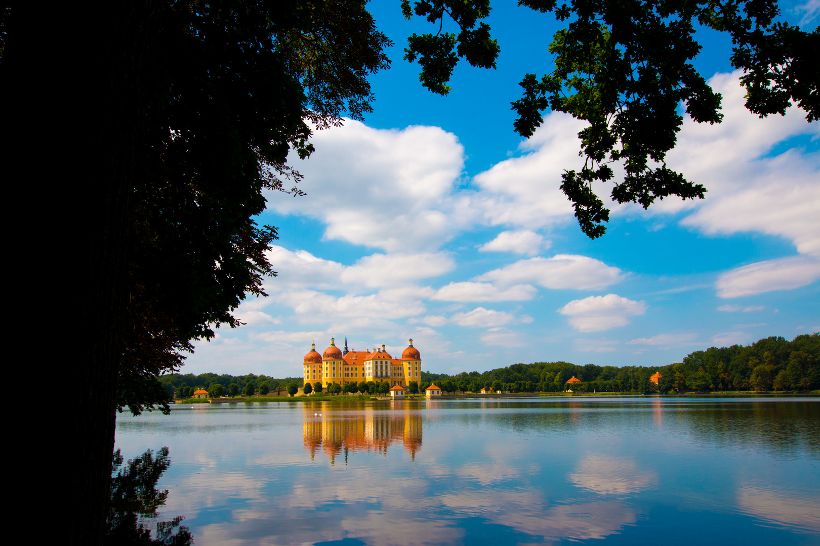 Schloss Moritzburg