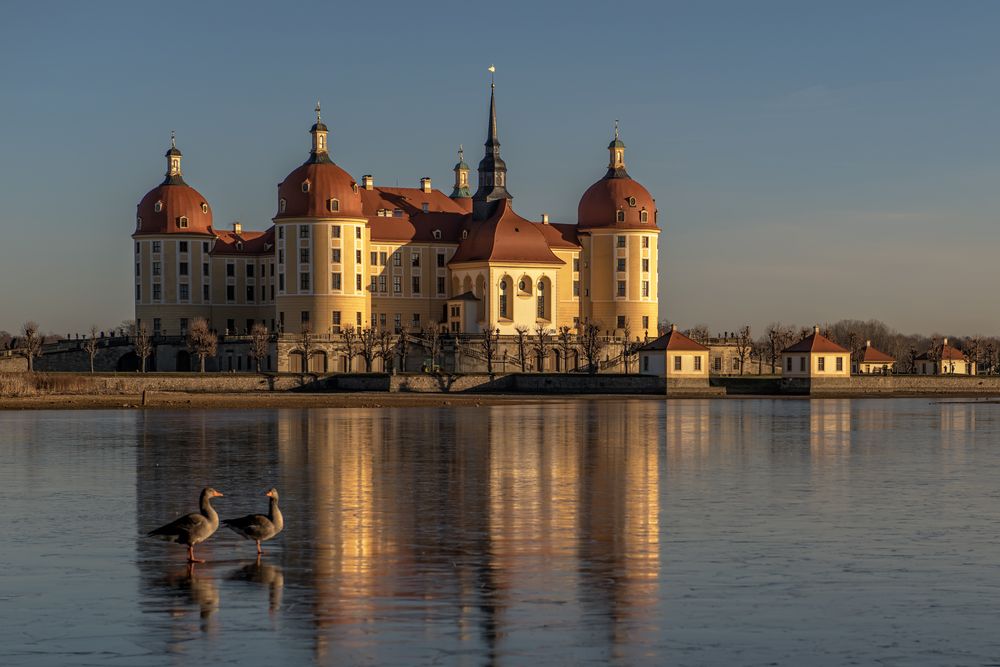 Schloss Moritzburg 