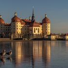 Schloss Moritzburg 