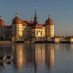 Schloss Moritzburg 